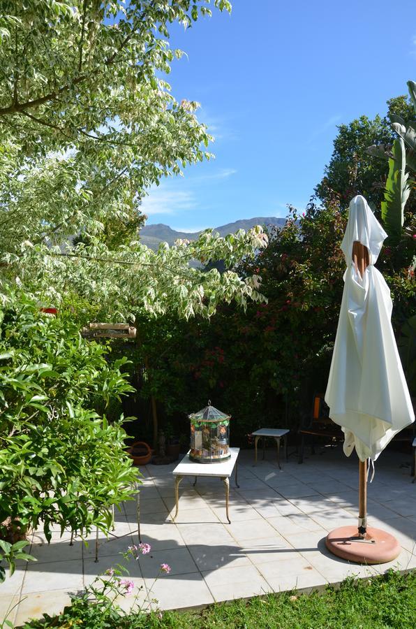 Bed and Breakfast The Blue Door à Greyton Extérieur photo